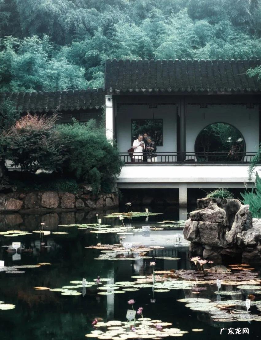 荼蘼拼音 荼蘼怎么读是什么意思