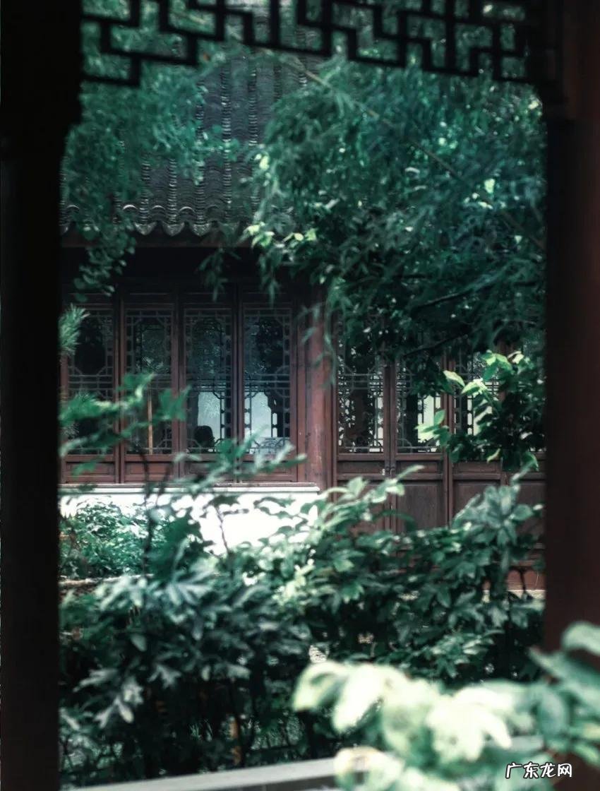 荼蘼拼音 荼蘼怎么读是什么意思