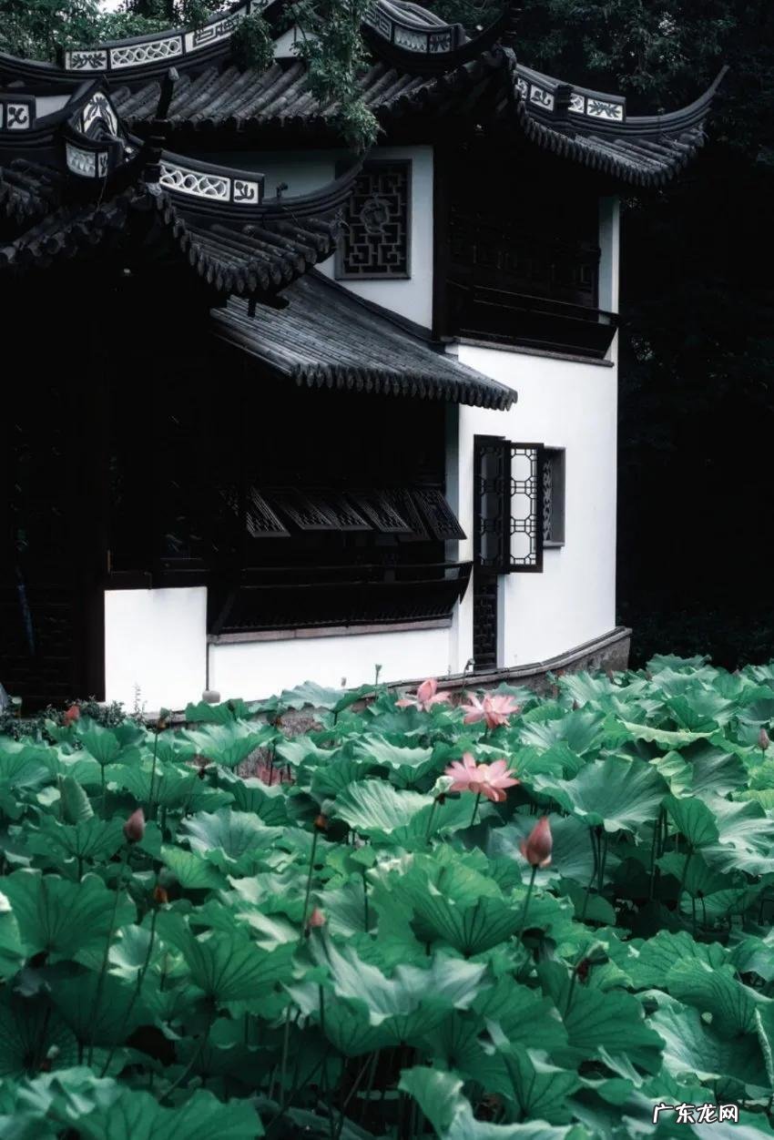 荼蘼拼音 荼蘼怎么读是什么意思