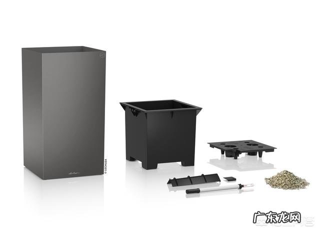 如何在办公室养绿植?