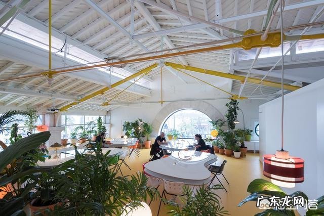 如何在办公室养绿植？