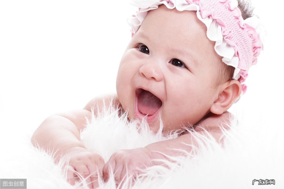 木字旁的字有什么 木字旁的字有哪些字