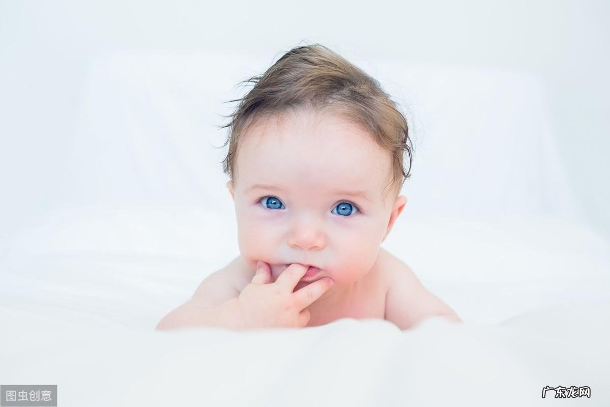 木字旁的字有什么 木字旁的字有哪些字