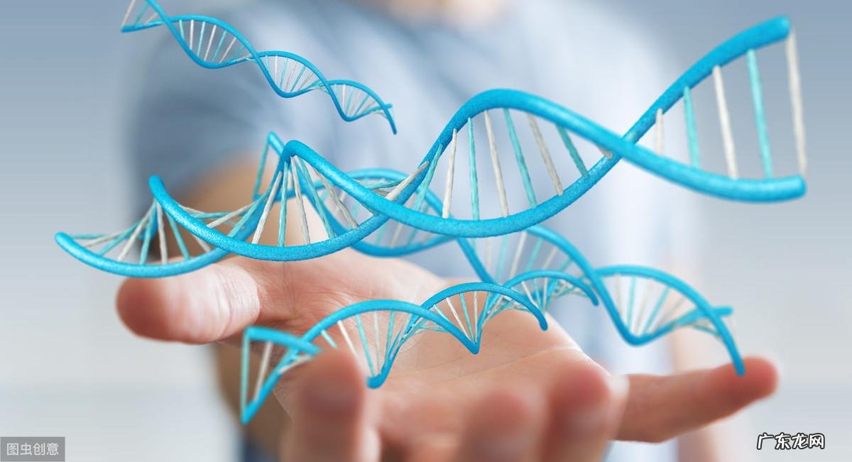 天赋基因检测有必要吗 天赋基因检测图片