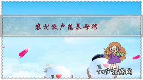 农村散户想养母猪,怎么选择品质优良的母猪仔?