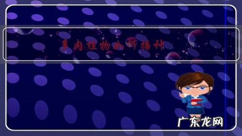 多肉植物如何播种，种子是怎么育苗的？