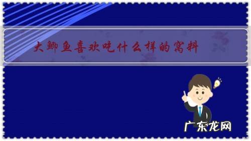 哪种窝料可以诱野生大鲫鱼 大鲫鱼喜欢吃什么样的窝料?