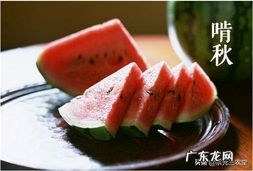 农村老人爱说”立秋后的西瓜不能吃“,这是为什么呢?立秋之后西瓜真的不能吃了吗?