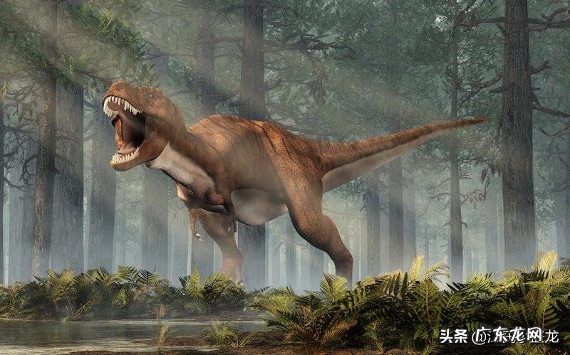 tyranny tyrannosaurus