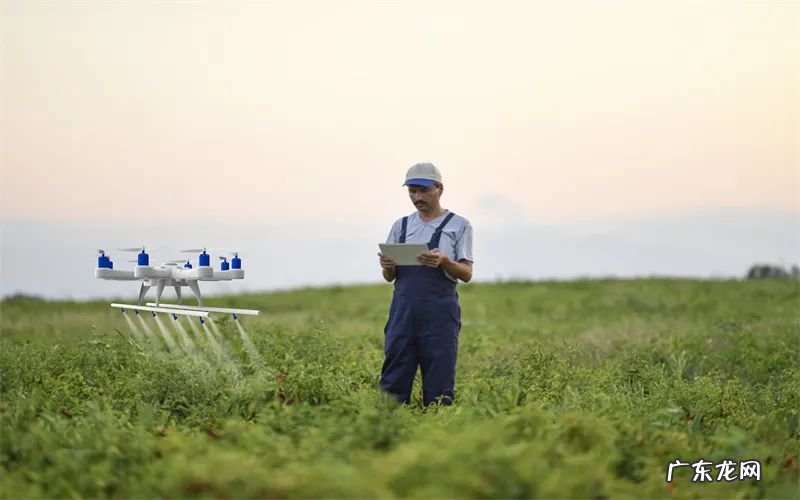 怎么才能挣钱比较快 怎么赚钱快又现实