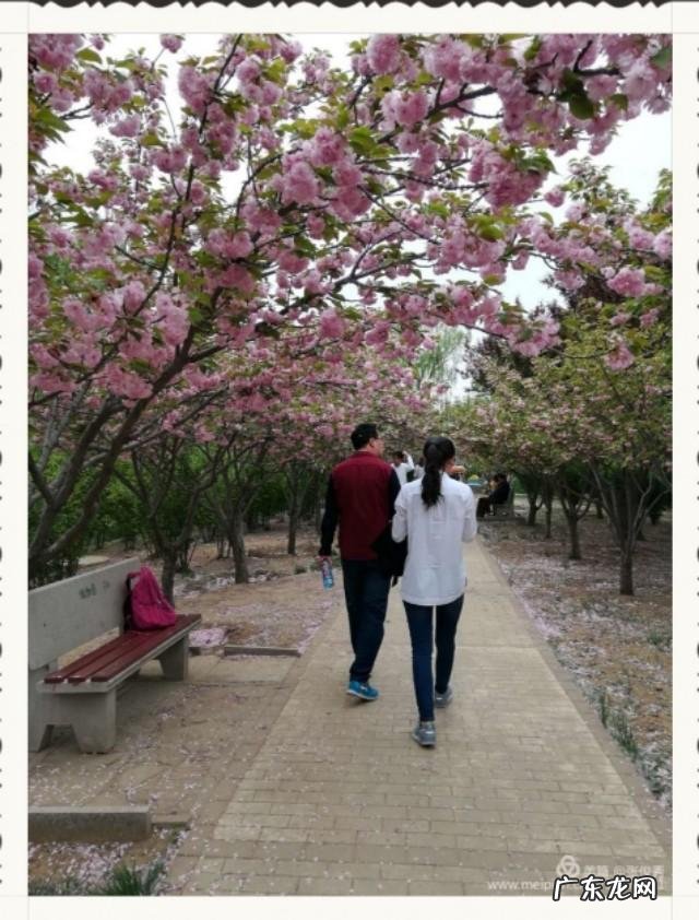 校园小子在线观看 校园男孩背影