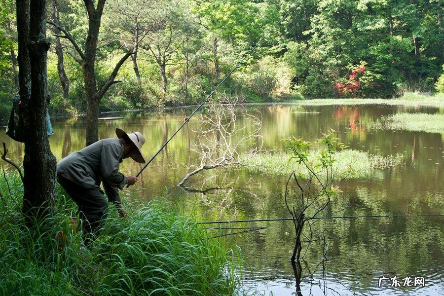 十大风水案例 钓鱼风水作案大全集