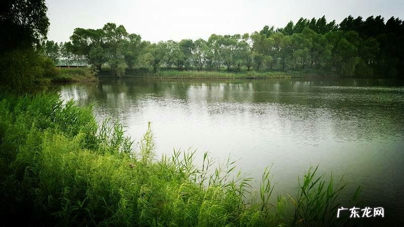 十大风水案例 钓鱼风水作案大全集