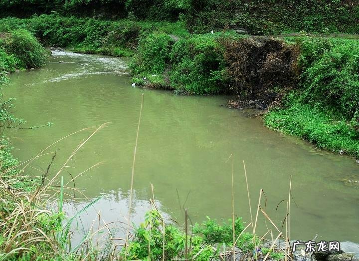 十大风水案例 钓鱼风水作案大全集
