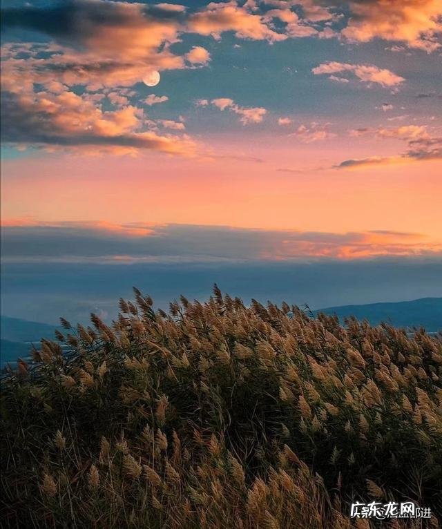 离婚后复婚的几率大吗?