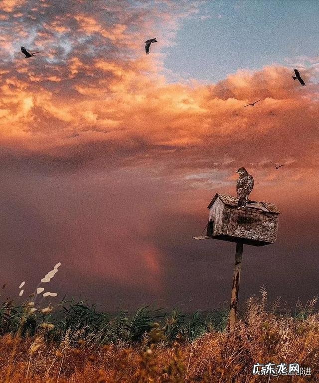 离婚后复婚的几率大吗?