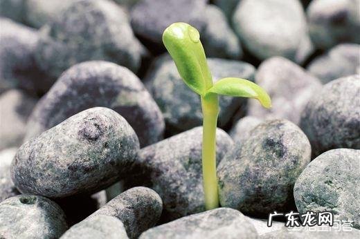 信阳14岁女孩疑因与同学发生口角,深夜跳河自杀,次日凌晨被打捞上岸,已无生命体征,你怎么看?