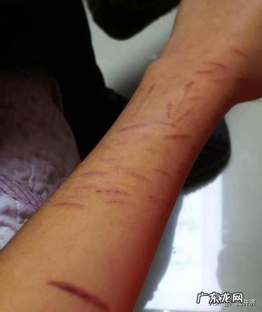 信阳14岁女孩疑因与同学发生口角，深夜跳河自杀，次日凌晨被打捞上岸，已无生命体征，你怎么看？