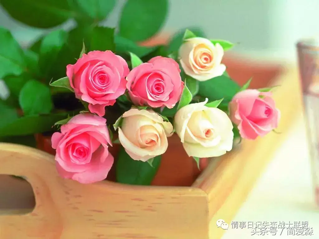 浪漫情人节的话语 情人节怎样过才浪漫