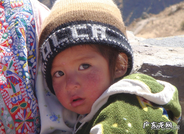 男孩大气有涵养的名字属虎 文质彬彬的十二生肖