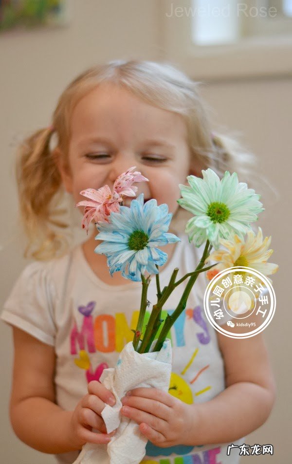 科学实验神奇的毛细现象会行走的色水游戏让孩子崇拜起来吧 毛细现象有哪些