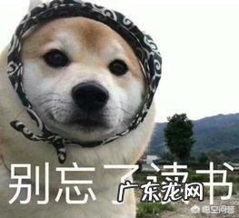 为何家庭教育在语文学习中如此重要？