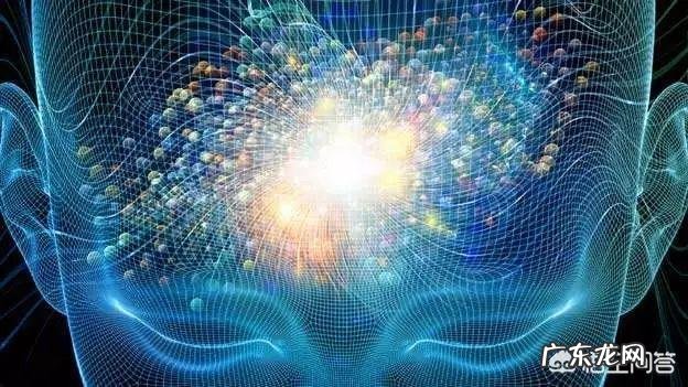 现在人类大脑开发了多少?