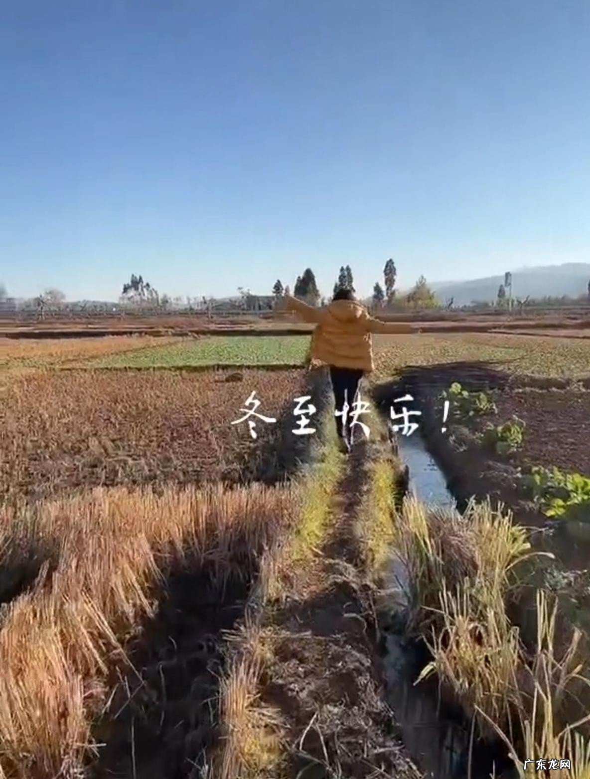 岁何政军罕晒妻子范雨四肢纤细心情愉快结婚年低调恩爱 范雨个人图片范雨
