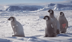 问工作千万别说“What's your job?”,尴尬症都要犯了! myjob