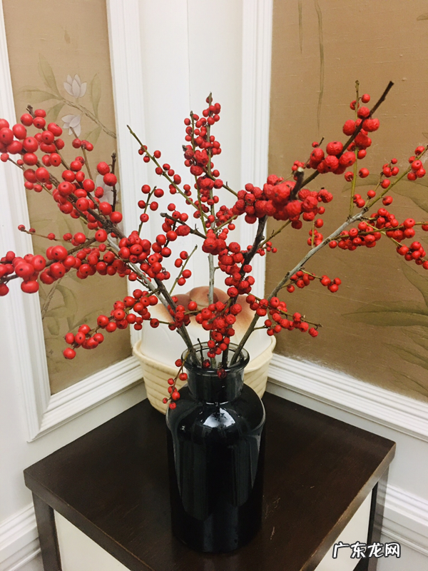 客厅种棵树 家里客厅放什么植物好风水好