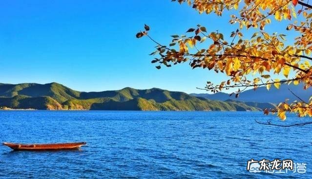 端午节你最想跟谁自驾出游?