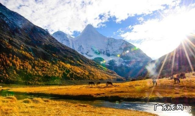 端午节你最想跟谁自驾出游?