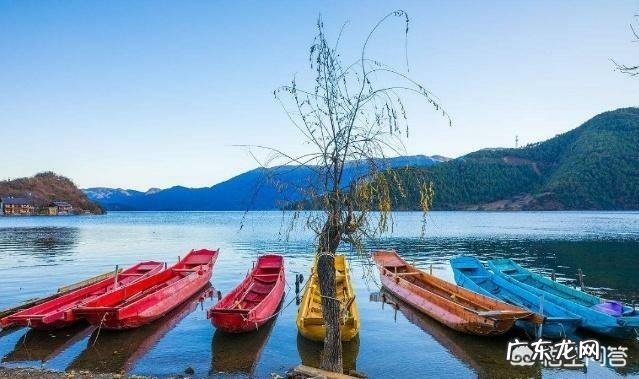 端午节你最想跟谁自驾出游?