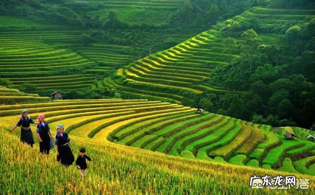 梯田在国外有吗?