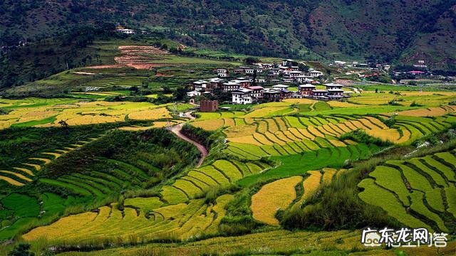 梯田在国外有吗?