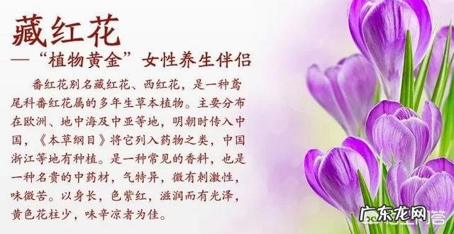 藏红花的功效是什么?哪些人适合吃?