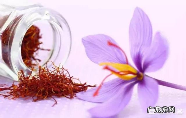 藏红花的功效是什么?哪些人适合吃?