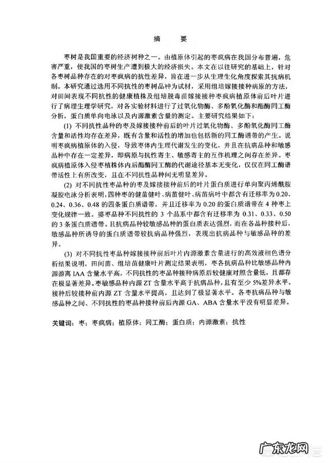 枣树患了“疯枝子”应该怎么办?