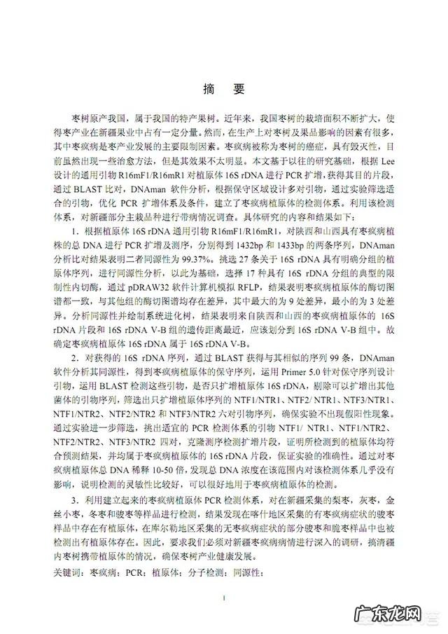 枣树患了“疯枝子”应该怎么办?