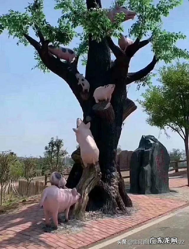 怎么微信搭讪陌生学姐?