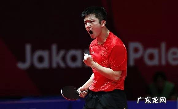 现役乒坛第一人樊振东竟有多个隐藏身份你知道其中几个 樊振东个人资料简介祖籍