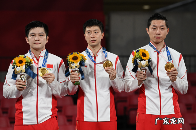 现役乒坛第一人樊振东竟有多个隐藏身份你知道其中几个 樊振东个人资料简介祖籍