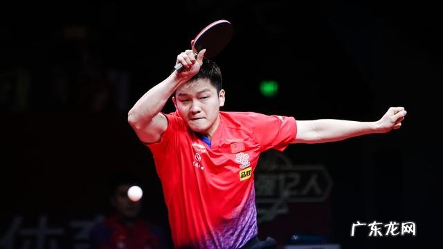 现役乒坛第一人樊振东竟有多个隐藏身份你知道其中几个 樊振东个人资料简介祖籍