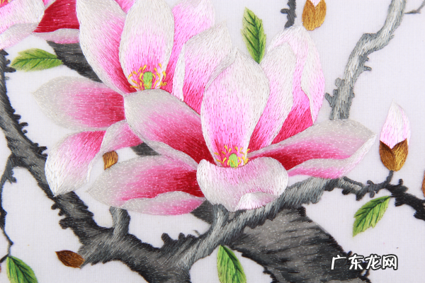 餐厅挂幅“吉祥花鸟” 餐厅墙用艺术玻璃玉兰花看风水