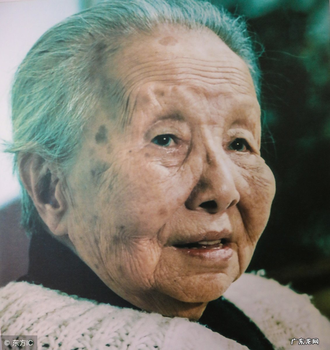 摘抄冰心这10句经典名言,怀念上学时候读的那些冰心作品 冰心的名言有哪些