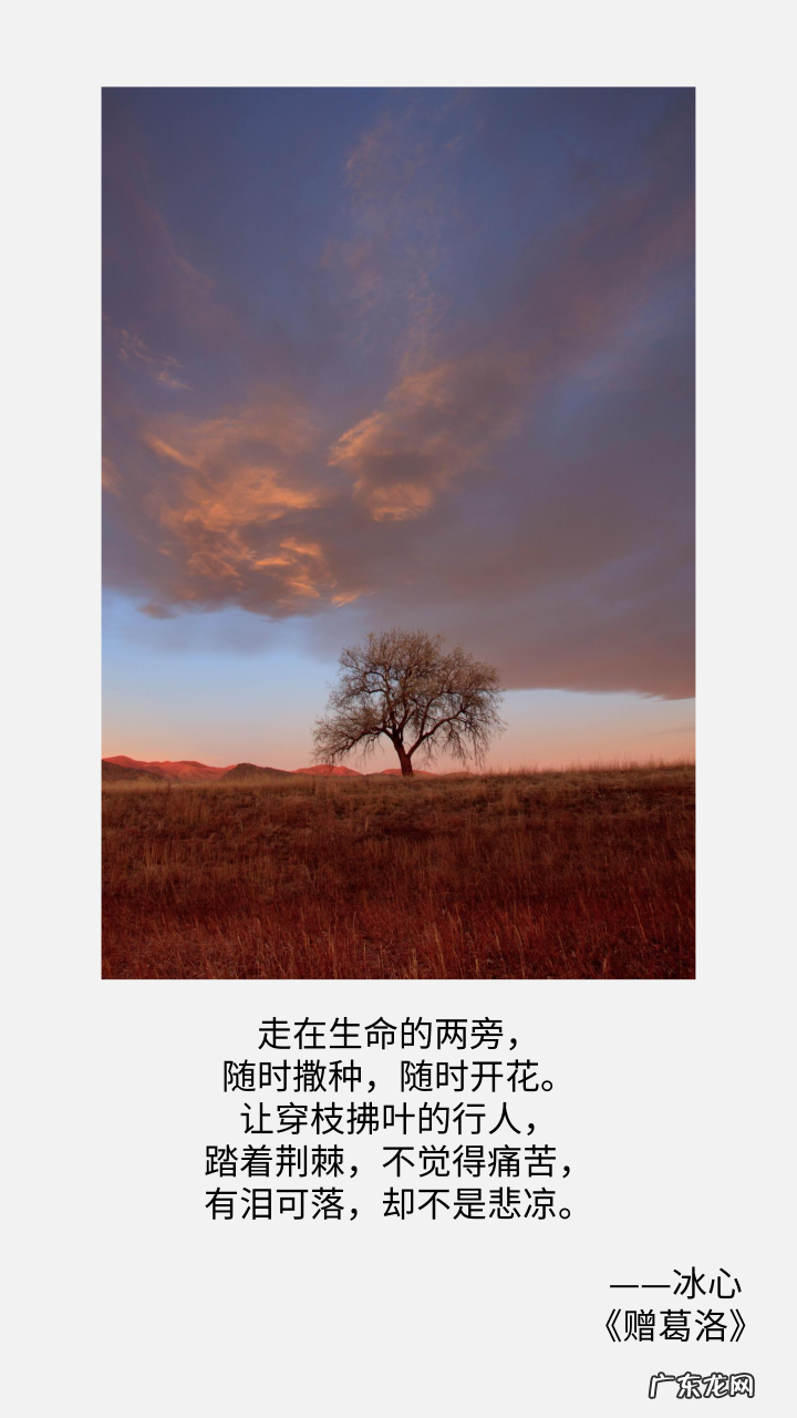 摘抄冰心这10句经典名言,怀念上学时候读的那些冰心作品 冰心的名言有哪些