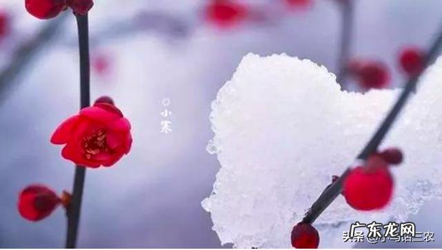 小寒节气到了,农村老人说“小寒节气宜雪不宜晴”,小寒节气下雪有啥说法?