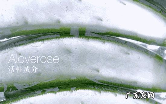 吃什么食物可以降火?