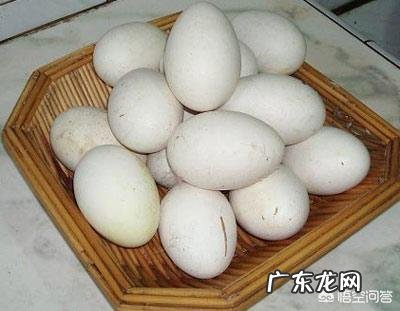 老辈人常说：孕期多吃“鹅蛋”对宝宝好，孕妇吃鹅蛋到底有哪些好处呢？