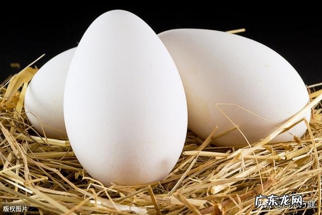 老辈人常说:孕期多吃“鹅蛋”对宝宝好,孕妇吃鹅蛋到底有哪些好处呢?